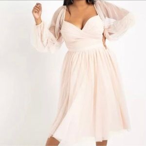 Nabela Noor x Eloquii